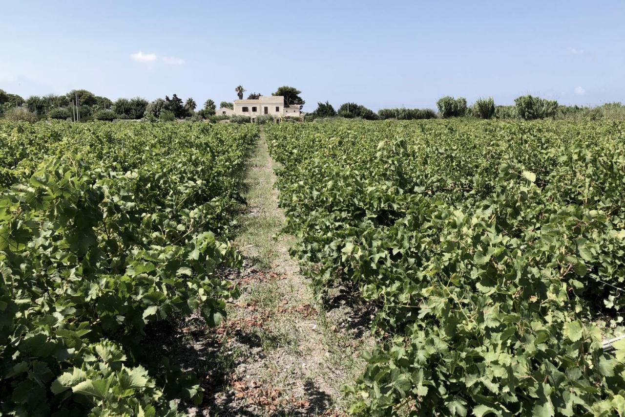 Villa Salinara 마르살라 외부 사진